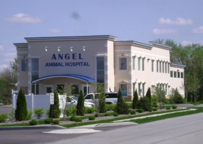 Angel Animal Hospital 10
